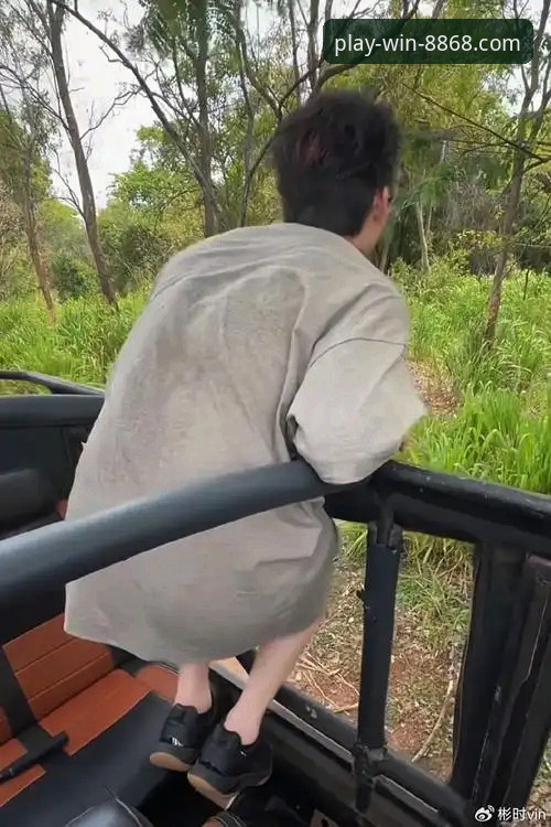 阿根廷新星重伤vs平台稳定体验：哪个更牵动你的心？——从帕尼切利伤退看8868体育的可靠服务